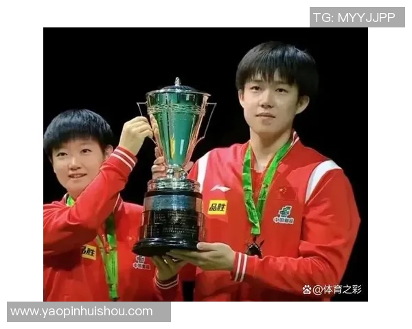 武汉乒乓球队实力强劲最新乒乓球力量排名前十揭晓